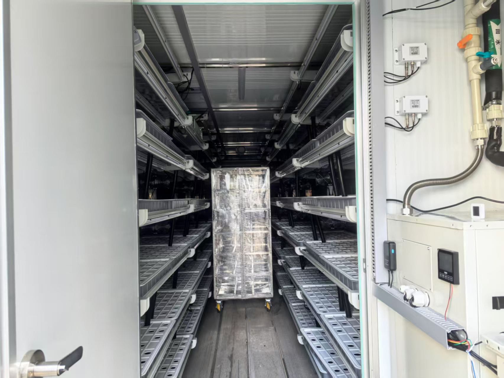 Technologie de Conteneurs à Champignons : La Révolution de l'« Usine Mobile » qui Remodèle les Champignons Comestibles