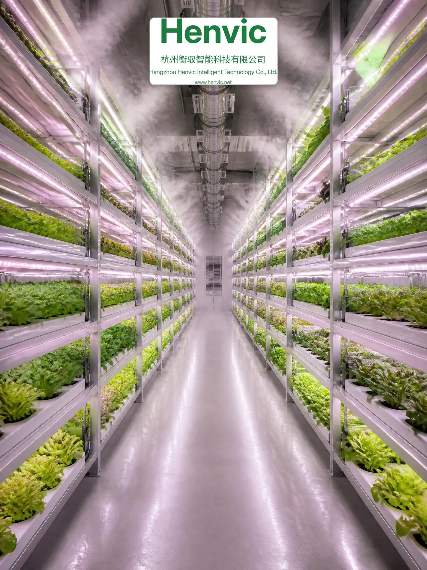 Intérieur de la cabine de culture intelligente de grande taille pour fruits et légumes