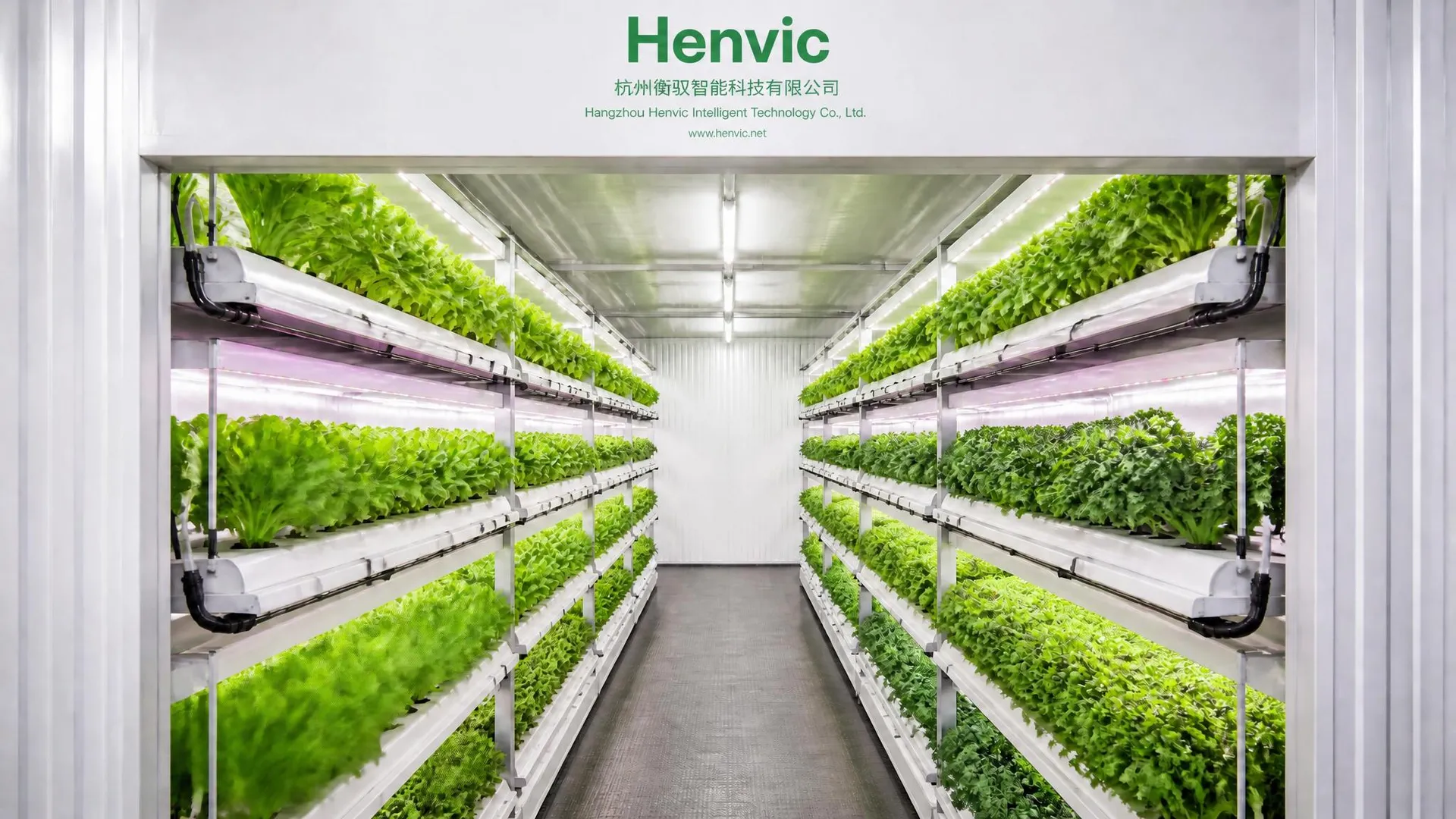 Conteneur de Culture de Plantes de Ferme